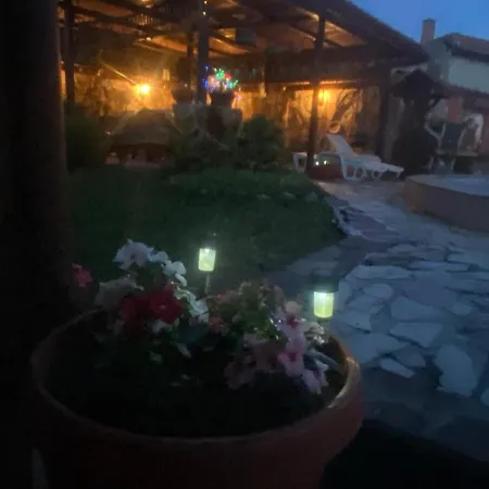 فيلة Dolce и партита *